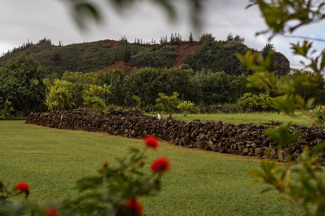 Kauai East Side SHARED Adventute - Lydgate Beach Park and the Hikinaakalā Heiau: More Than a Photo Stop