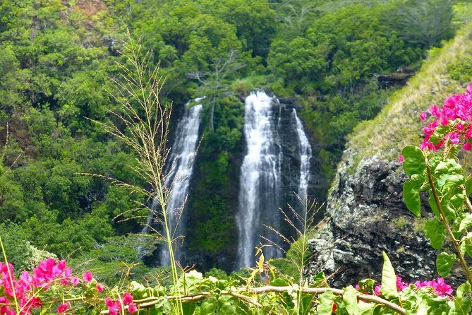 Kauai Eastside Waterfalls & Local Grinds-Small Group Tour - Price and Small-Group Value: Why $185 Works Here
