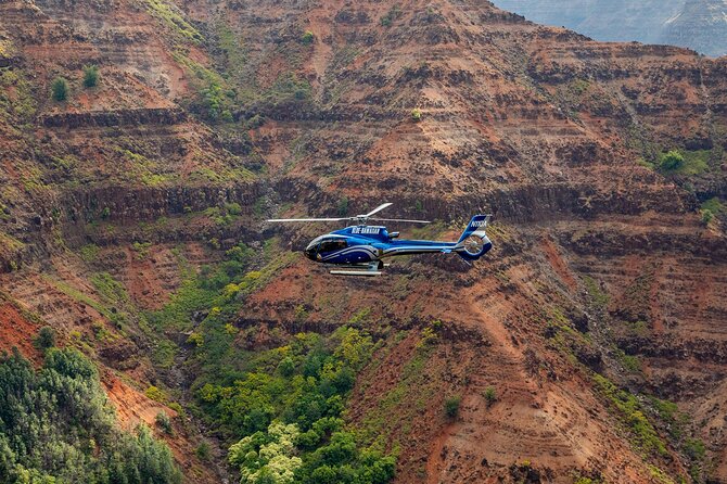 Kauai Eco Adventure Helicopter Tour - Motion sickness: plan smarter than hoping for the best