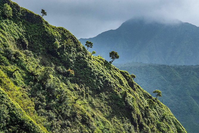 Kauai Eco Adventure Helicopter Tour - Price and value: is $449.90 worth it?