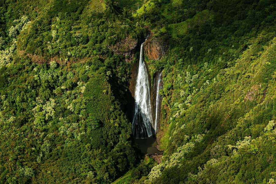Kauai: Entire Kauai Air Tour with Window Seats - Air Ventures Hawaii check-in and what to do before you fly
