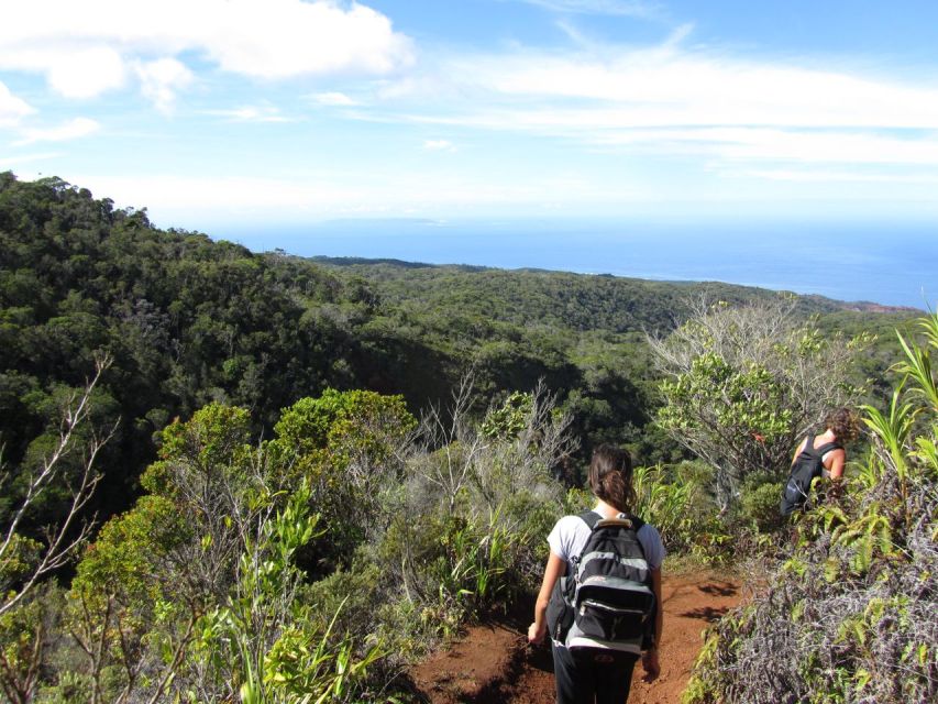 Kauai: Full-Day Kauaʻi Adventure - How the scenic drive works (and why it matters)