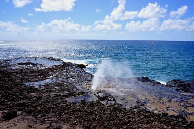 Kauai Full Day Tour with Cruise ships or Kauai Airport Pickup - Waimea Canyon State Park: the Grand Canyon of the Pacific payoff