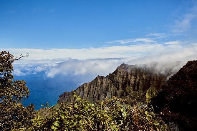 Kauai Full Day Tour with Cruise ships or Kauai Airport Pickup - Hanapepe’s art-town stop: quick charm and an easy first win