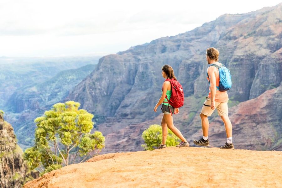 Kauai: Full-Day Waimea Canyon & Wailua River Tour - Key highlights to expect