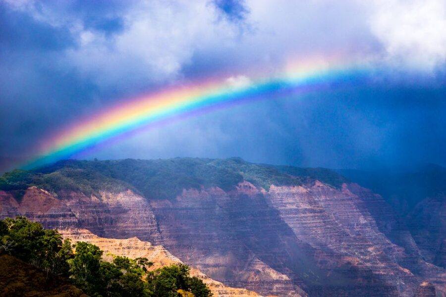 Kauai: Full-Day Waimea Canyon & Wailua River Tour - Old Koloa Town: sugar-era history you can still feel walking around