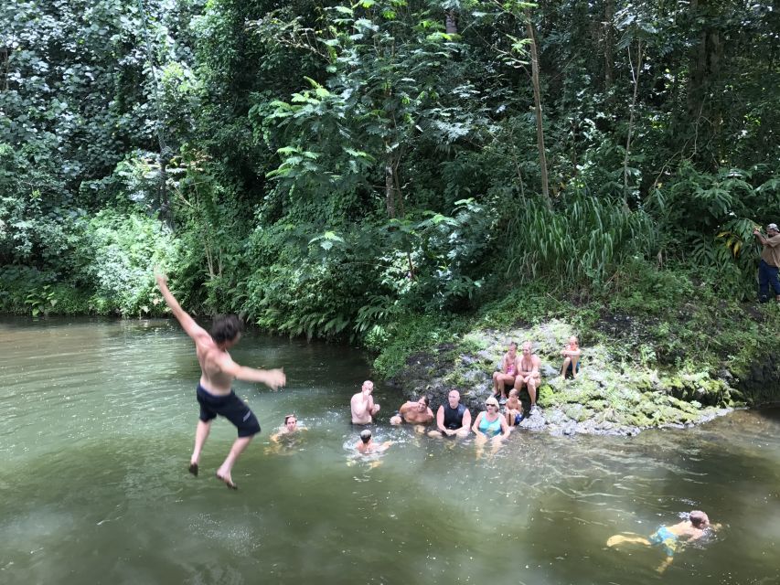 Kauai: Half-Day Kauaʻi Adventure - Who this half-day Kauaʻi hike is best for