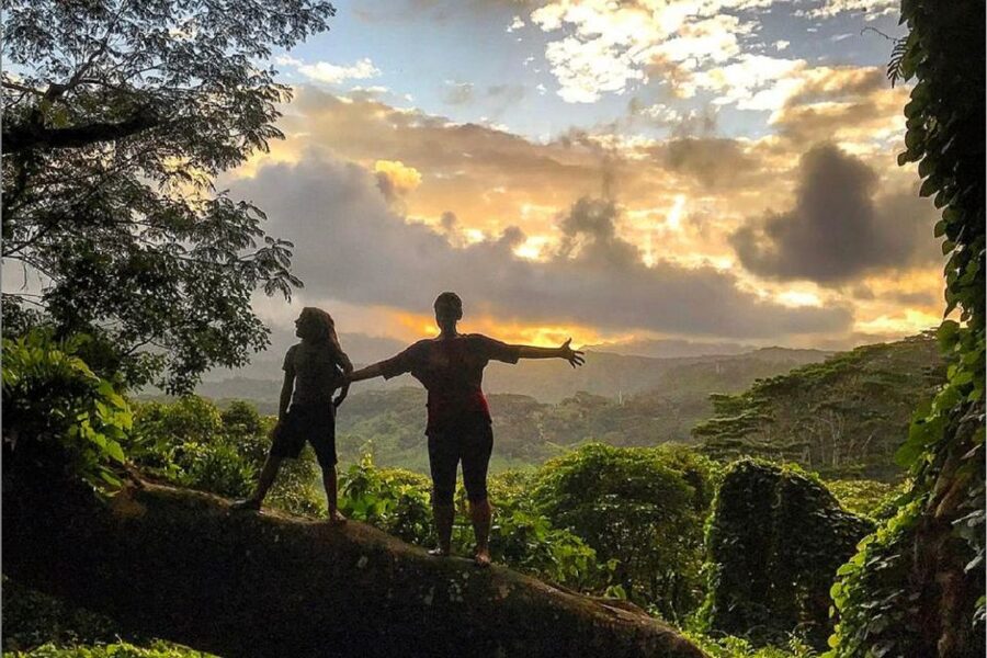 Kauai: Half-Day Kauaʻi Adventure - South or north shore pauses: waves and native wildlife