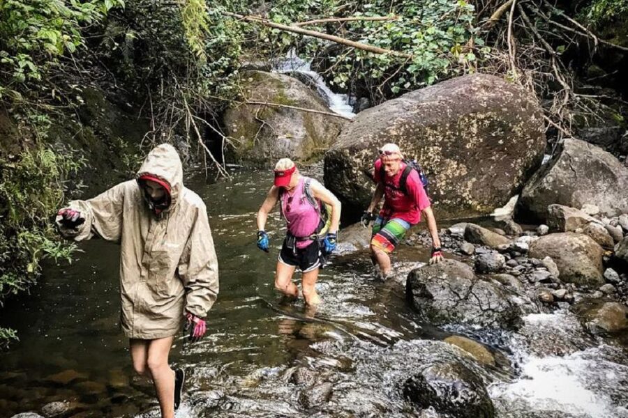 Kauai: Half-Day Kauaʻi Adventure - Transportation included: the half-day logistics that actually save time
