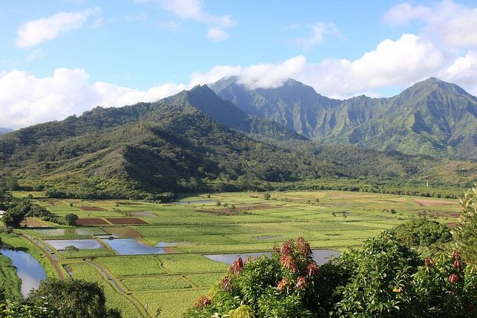 Kauai: Hawaii Movie Tour - On-Board Movie Clips: Why This Isn’t Just Sightseeing