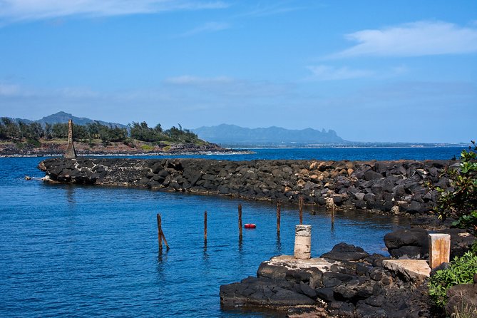 Kauai: Highlights & Movie Sites - Why this Kauai mini coach tour works (especially if you hate driving)