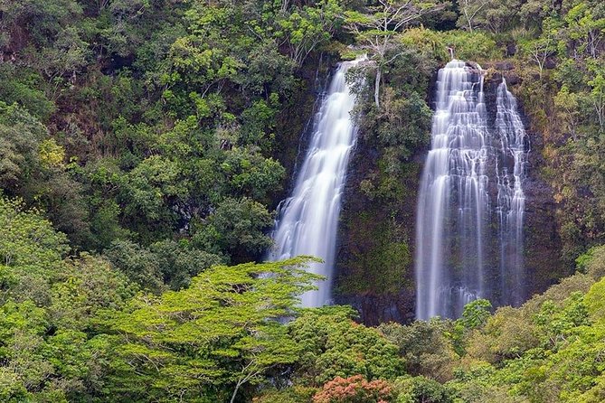 Kauai: Highlights & Movie Sites - Lydgate Chocolate tasting: the sweet ending that feels earned
