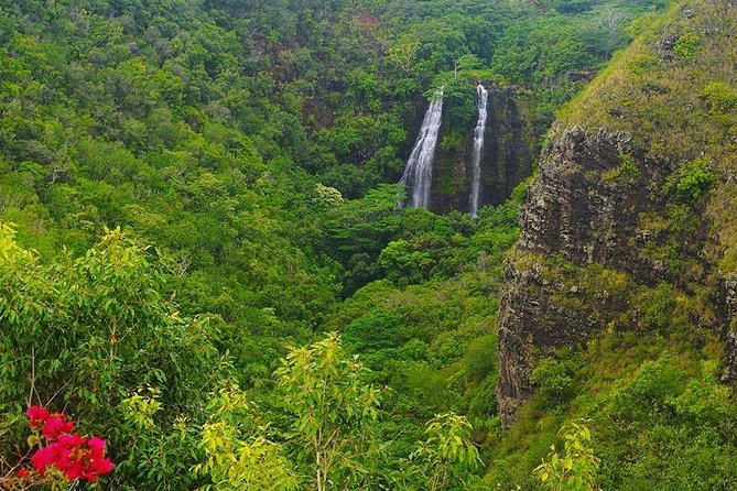 Kauai: Highlights & Movie Sites - Should you book this tour?