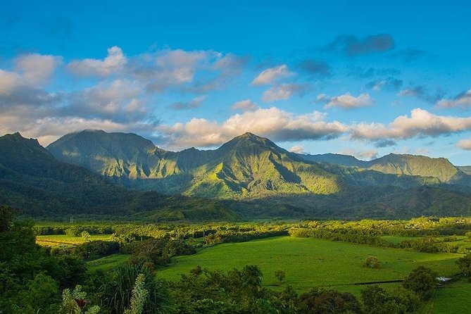 Kauai Highlights & Movie Sites - Comfort, group size, and why the guide matters