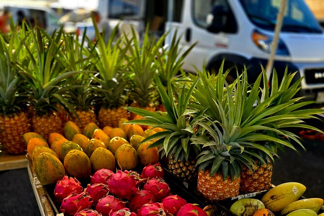 Kauai Hop On Hop Off Tour - Should You Book This Kauai Hop On Hop Off Tour?