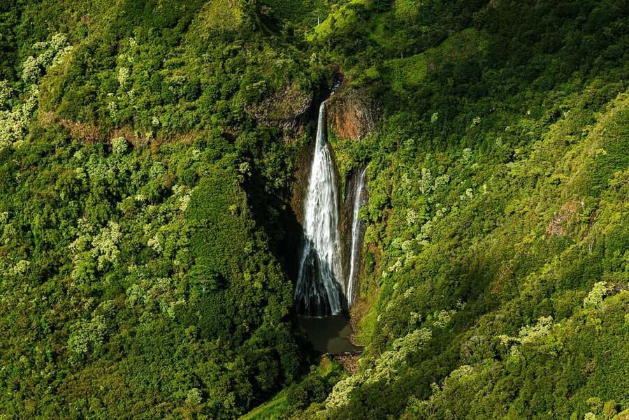 Kauai: Hughes 500 4-Passenger Doors-Off Helicopter Flight - The part that decides how smooth your day feels: Airborne Aviation check-in