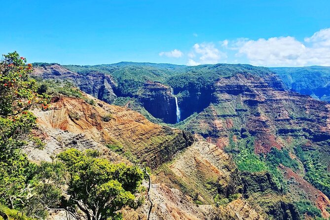 Kauai Island Private Guided Tour-Waimea Canyon from Poipu/Koloa - Stop 2: Kalalau Lookout and What You’re Actually Seeing at 4,000 Feet