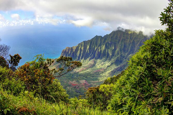 Kauai Island Private Guided Tour-Waimea Canyon from Princeville - Key points to know before you go