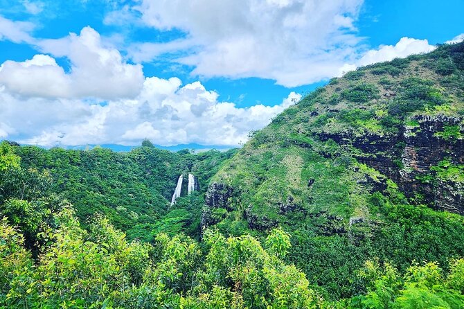Kauai Island Private Guided Tour-Waimea Canyon from Princeville - Hanapepe’s artsy feel and the swinging bridge stop