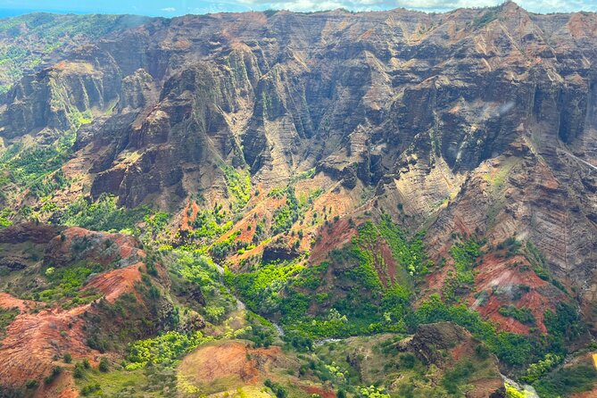 Kauai Island Private Guided Tour-Waimea Canyon from Princeville - Kauai Coffee Company: plantation tour and brew sampling