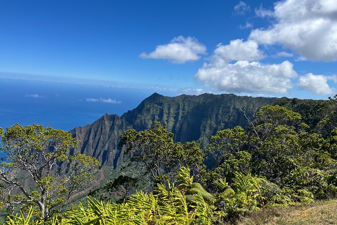 Kauai Island Private Guided Tour-Waimea Canyon from Princeville - ʻŌpaekaʻa Falls: a short pause for calm waterfall views