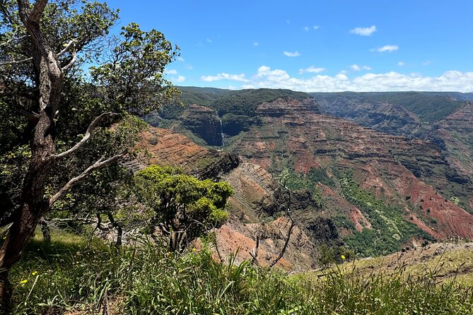Kauai Island Tour : Journey to Waimea Canyon & More Highlights - Hanapepe Swinging Bridge: short walk, big payoff (and hurricane history)