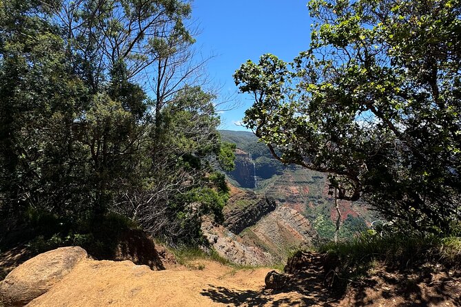 Kauai Island Tour : Journey to Waimea Canyon & More Highlights - Captain James Cook statue in Waimea: the landing that changed everything