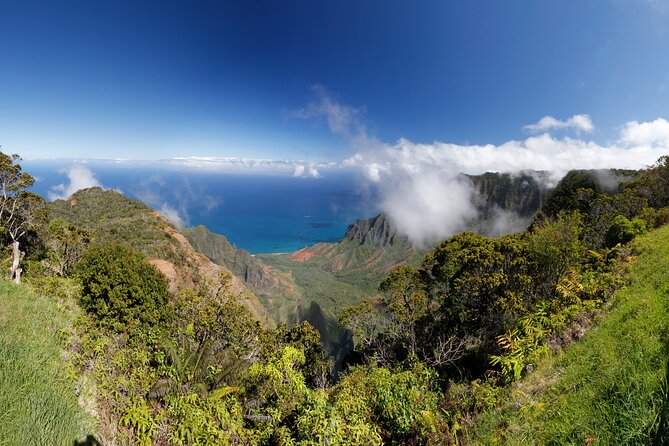 Kauai Island Tour : Journey to Waimea Canyon & More Highlights - Kalalau Lookout at 4,128 feet: a film set viewpoint you can reach by car