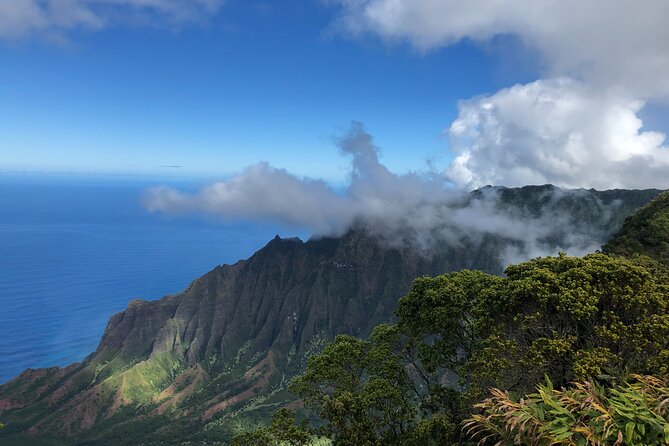 Kauai Island Tour : Journey to Waimea Canyon & More Highlights - Morning logistics from Times Supermarket Lihue (and why it matters)