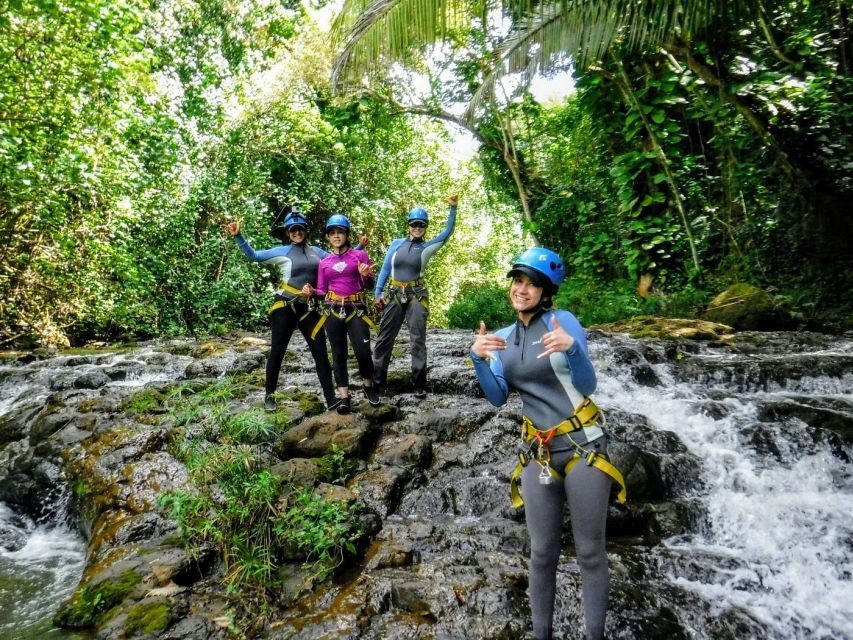 Kauai: Island Waterfall Adventure - Key Takeaways Before You Book