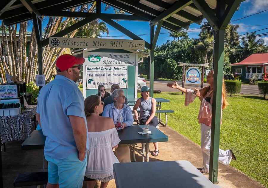 Kauai: Local Tastes Small Group Food Tour - East Side farm-to-table on the Royal Coconut Coast