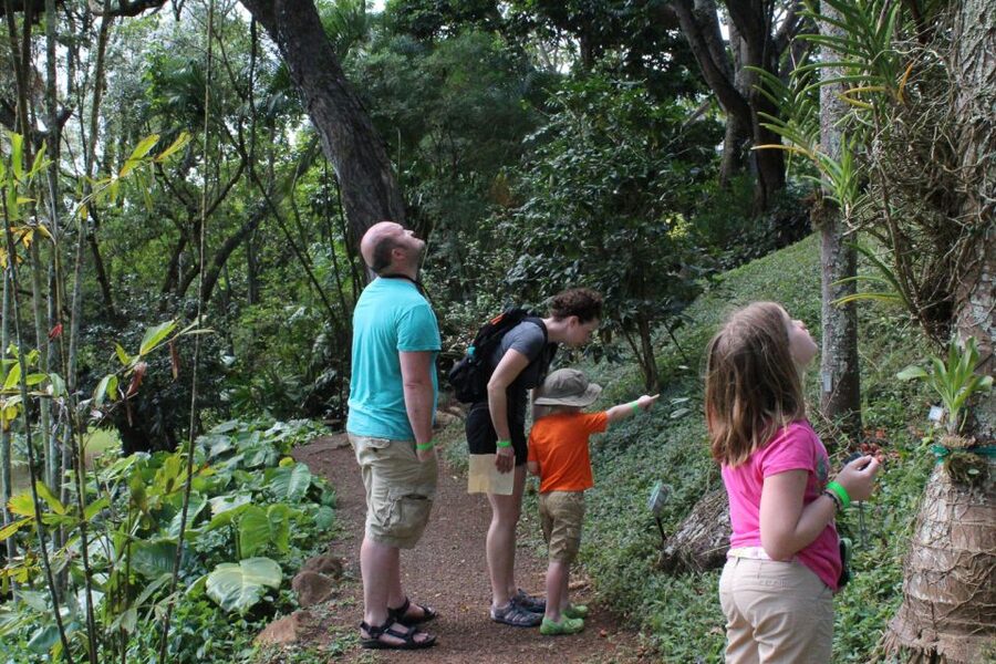 Kauai: McBryde Garden Self Guided Visit - What to bring: shoes, sun, and mosquito defense