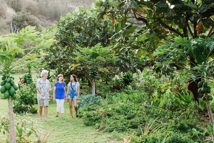 Kauai: McBryde Garden Self Guided Visit - Self-guided pacing in 150 minutes: how to make it feel relaxed