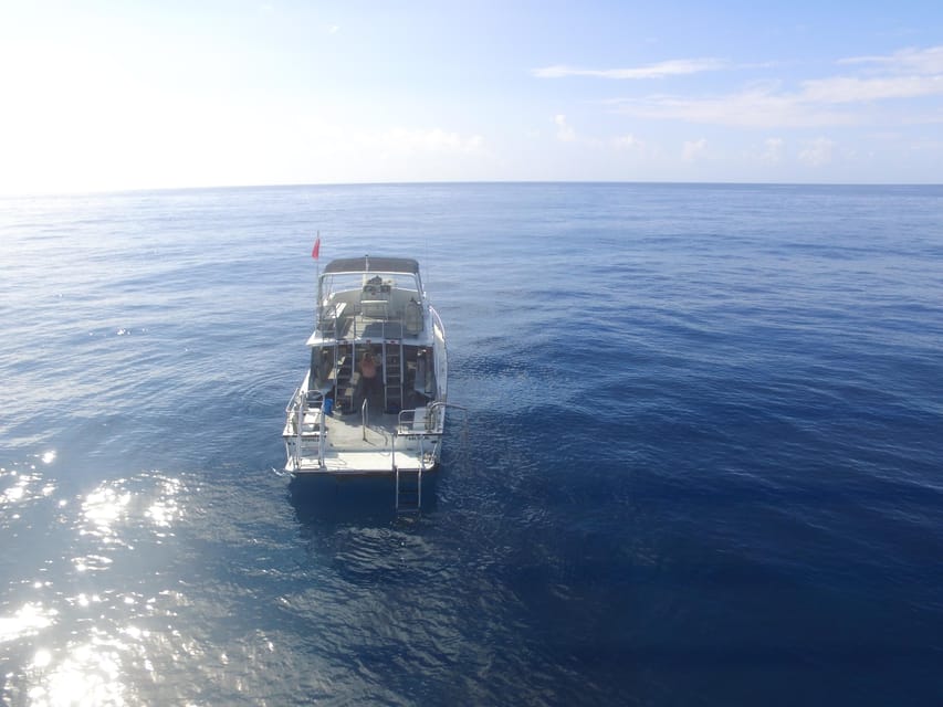 Kauai: Morning 2 Tank Boat Dive for Experienced Divers - Price on paper vs value in the water