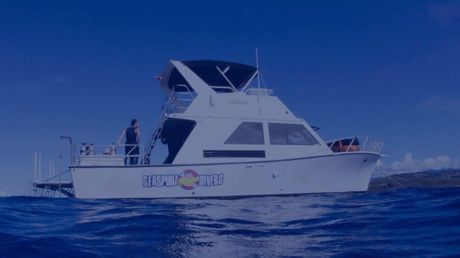 Kauai: Morning 2 Tank Boat Dive for Experienced Divers - Who should book this two-tank morning?