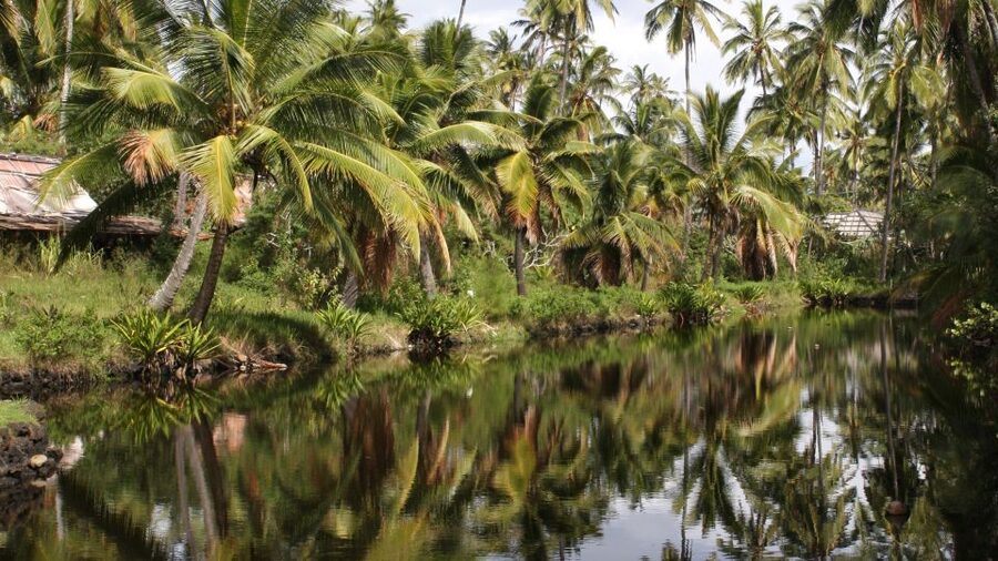 Kauai: Movie Locations Tour - Pirates of the Caribbean: Where coastline drama meets movie staging