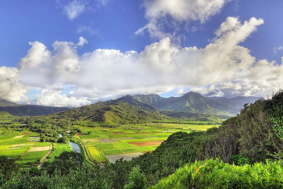 Kauai: Movie Locations Tour - More than the big three: Blue Hawaii, Six Days Seven Nights, Tropic Thunder, and more