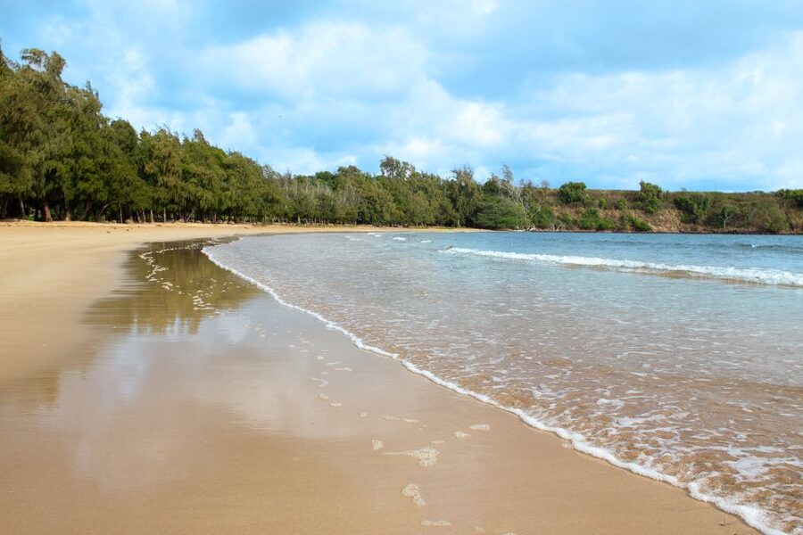 Kauai: Movie Locations Tour - The 7-Hour Rhythm: Long enough to see a lot, short enough to keep your day