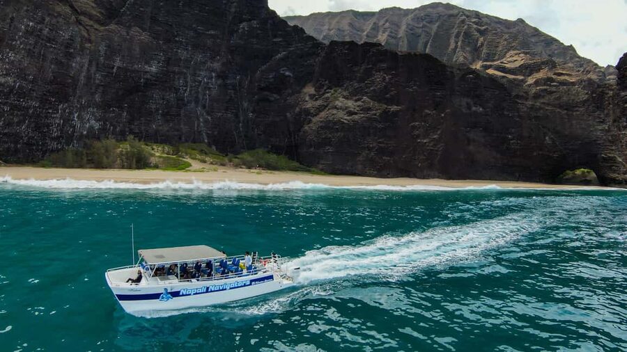 Kauai: Na Pali Coast Snorkel Tour With Lunch - Wildlife Chances on the Na Pali Coast: dolphins and possible whales