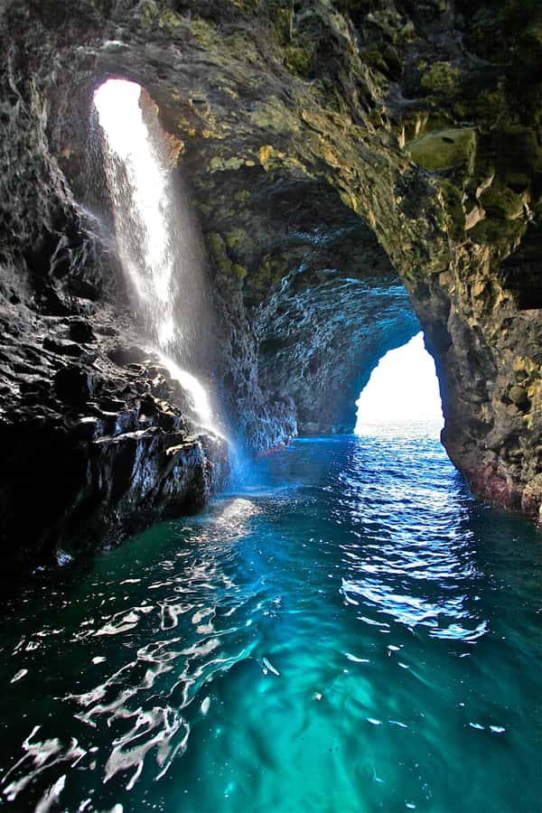 Kauai: Nā Pali Coast Zodiac Raft Sea Caves + Snorkel - Wildlife odds: dolphins early, whales in winter