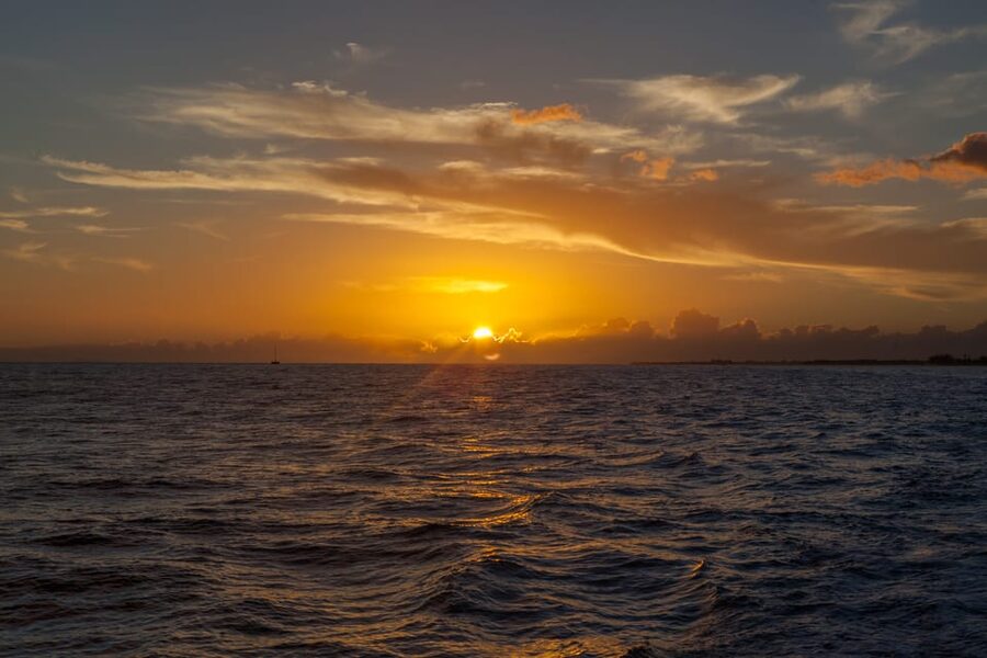 Kauai: Napali Sunset Dinner Cruise - Marine Wildlife Spotting: Best Odds, Best Attitude