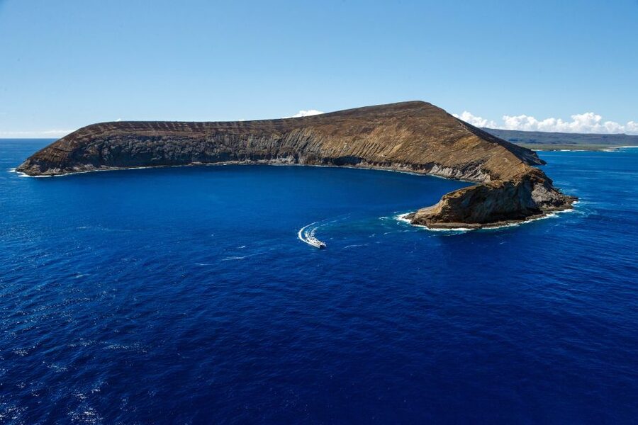 Kauai: Niihau and Na Pali Coast Full-Day Boat Tour - Price and value: $338 can be fair, but it depends on your priorities