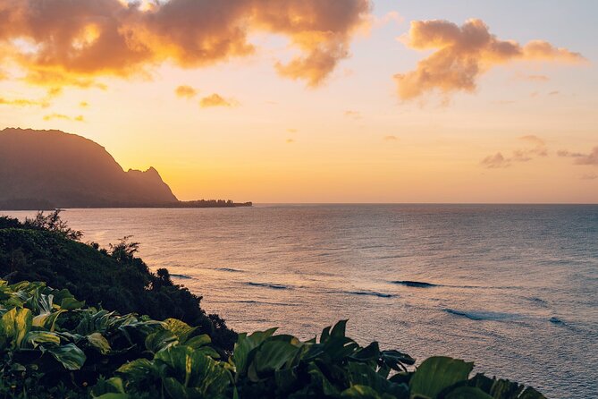 Kauai North Shore Private Guided Tour with Hotel or Port Pick-up - Price and what $1,210.25 per person buys you