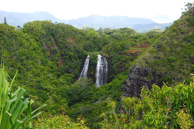 Kauai North Shore Private Guided Tour with Hotel or Port Pick-up - Comfort, food, and the little things that matter on a full day
