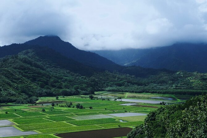 Kauai North Shore Private Guided Tour with Hotel or Port Pick-up - Who this tour fits best (and who should think twice)