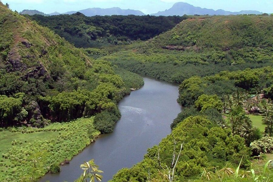 Kauai Northeast Tour, Fern Grotto River Cruise & Lighthouse - Key things I’d underline before you book