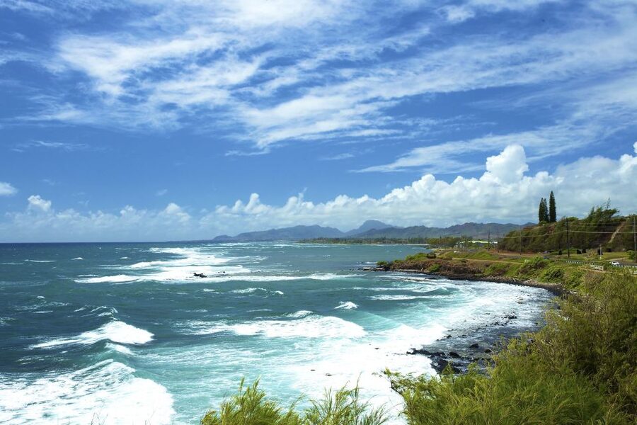 Kauai Northeast Tour, Fern Grotto River Cruise & Lighthouse - Wailua River on an open-air boat: Fern Grotto’s main event
