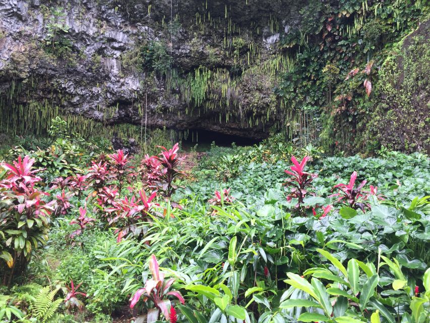 Kauai Northeast Tour, Fern Grotto River Cruise & Lighthouse - Sleeping Giant, taro, and plantation-era sights: what’s behind the postcard views