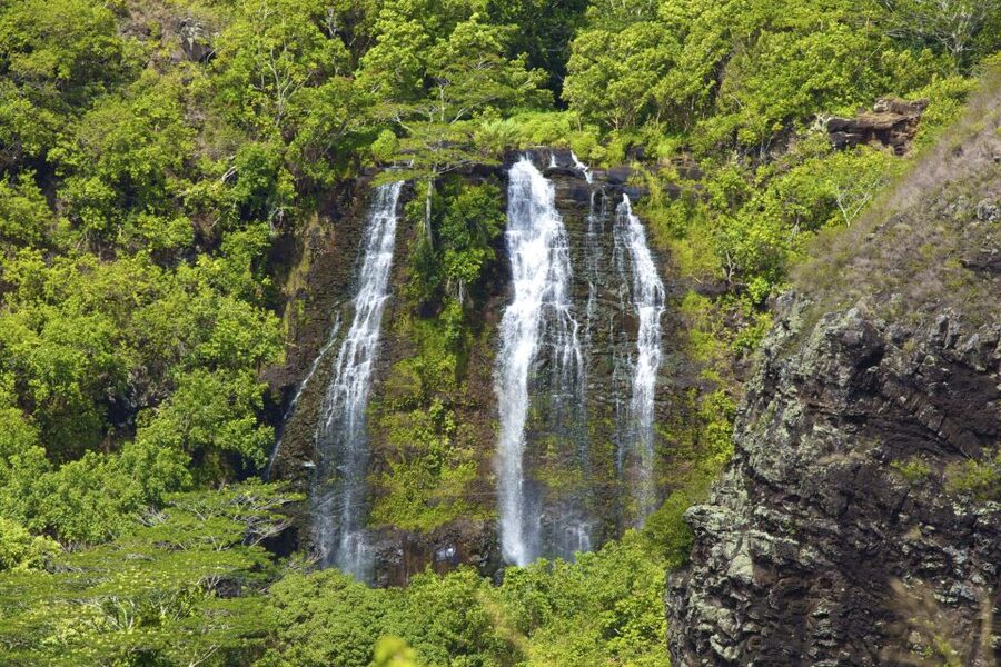 Kauai Northeast Tour, Fern Grotto River Cruise & Lighthouse - The guide makes a real difference (and the evidence is in the examples)