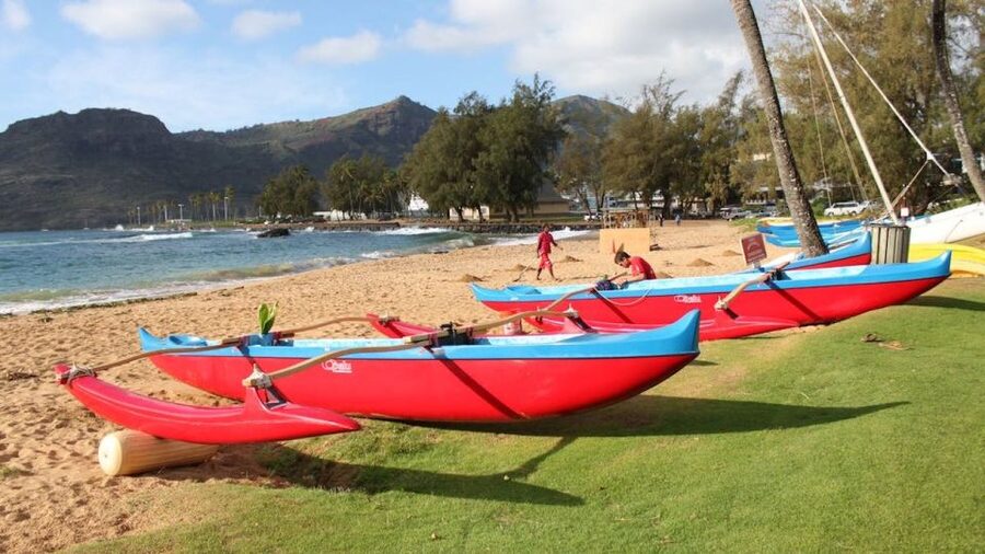 Kauai: Outrigger Canoe Surfing - Key highlights you’ll feel fast
